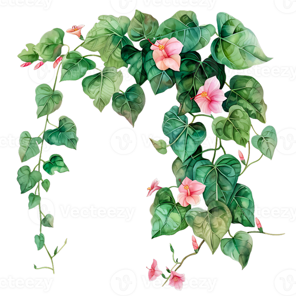 Tropical Spring Floral Green Leaves and Flowers Watercolor Isolated on Transparent Background png