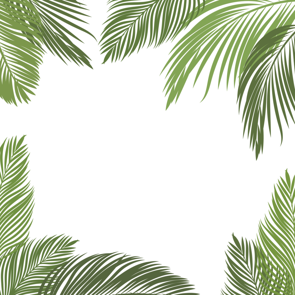Frame of Coconut Leaves for Summer Greeting png