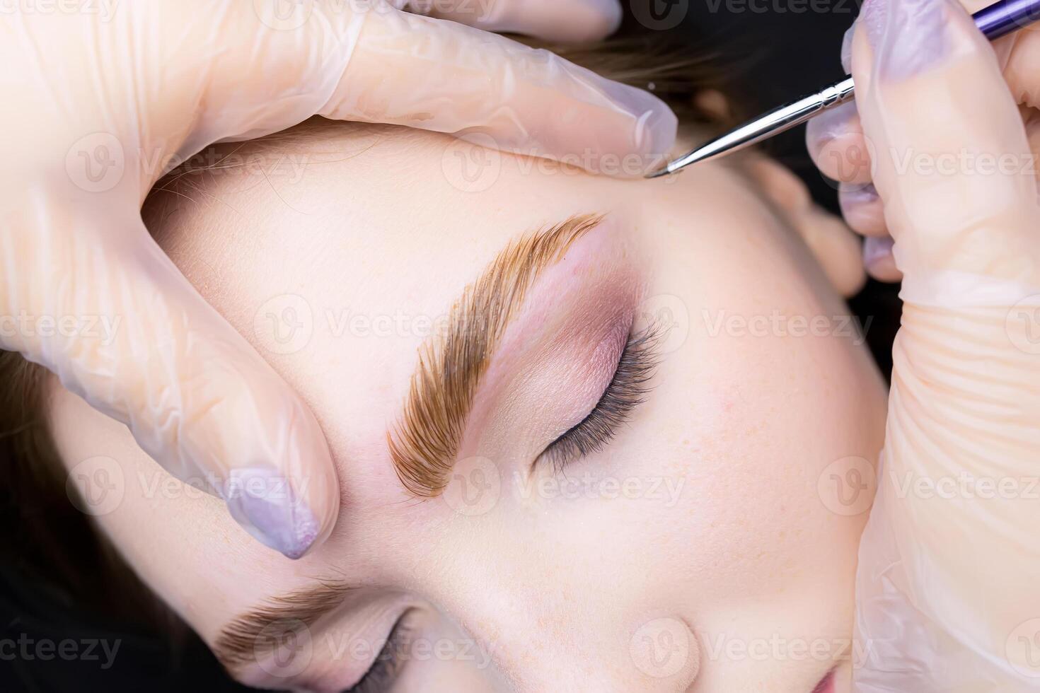 macro photography eyebrow coloring with paint after the lamination procedure with compounds photo