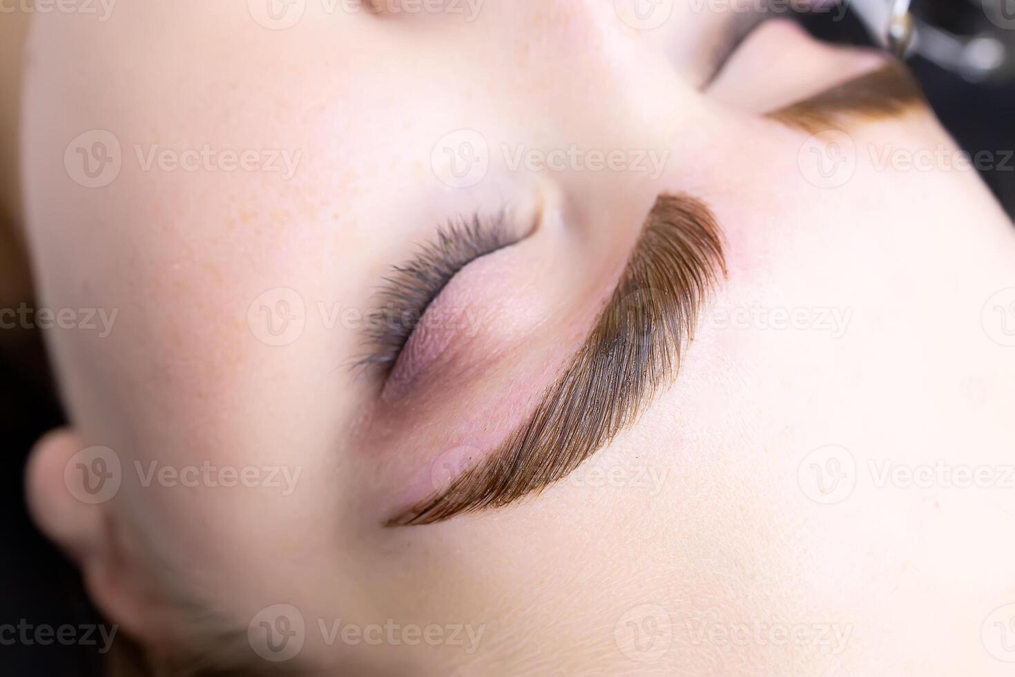 a close-up of the eyebrows of a young model on which hair coloring paints were applied after the lamination procedure photo