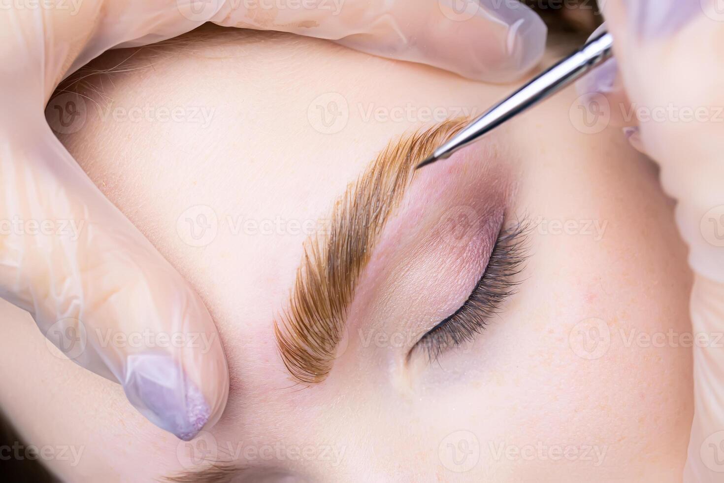 macro photography eyebrow coloring with paint after the lamination procedure with compounds photo