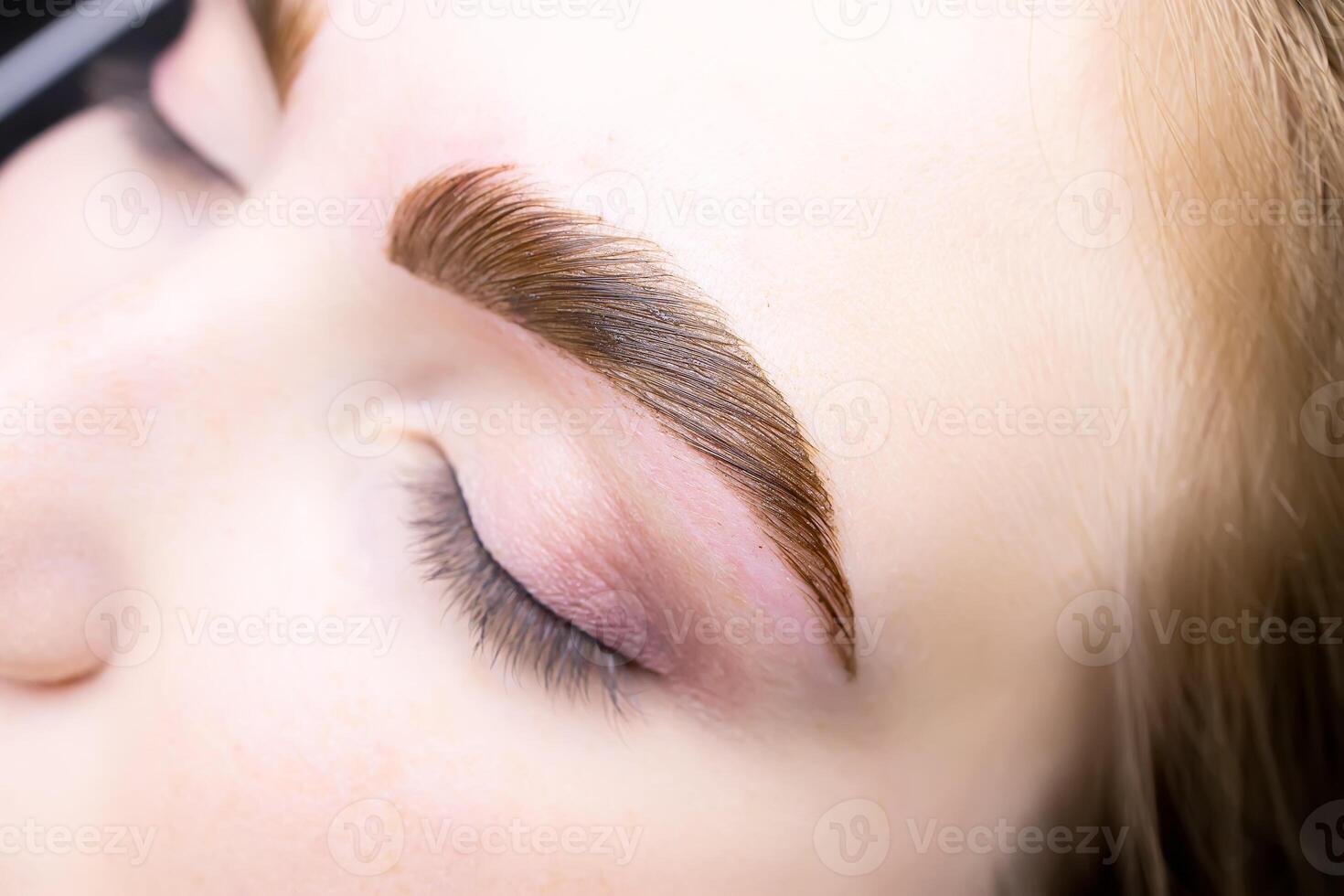 a close-up of the eyebrows of a young model on which hair coloring paints were applied after the lamination procedure photo