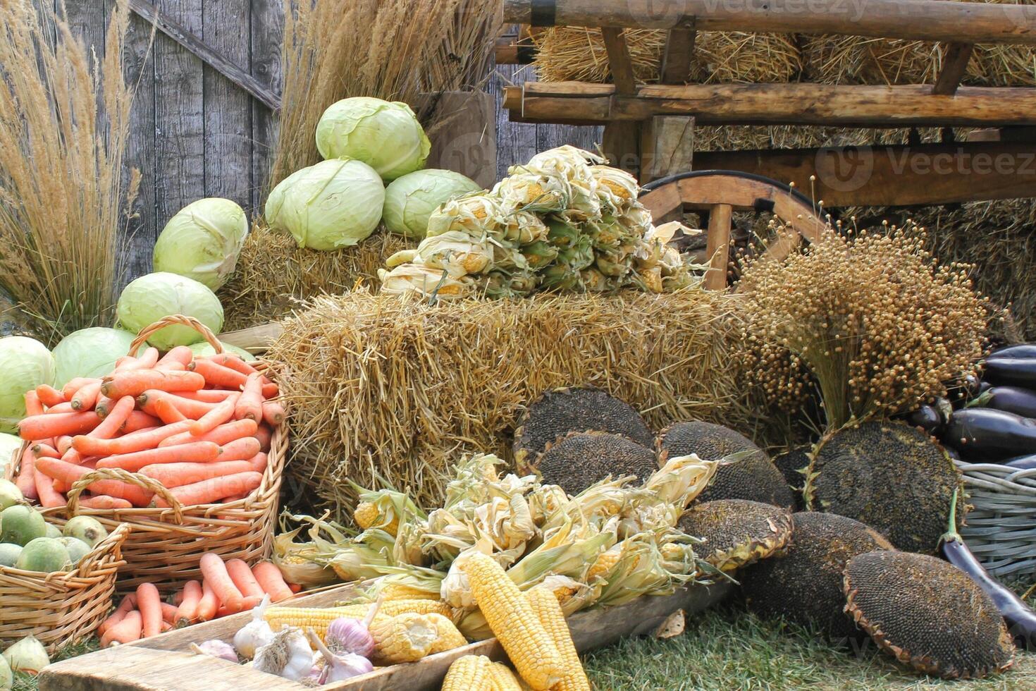 Fresh organic vegetables on farmer market. Local farm bazaar. Assortment of fresh organic harvest garden produce. Bio products, bio ecology. Natural healthy food festival. Agricultural rustic fair photo