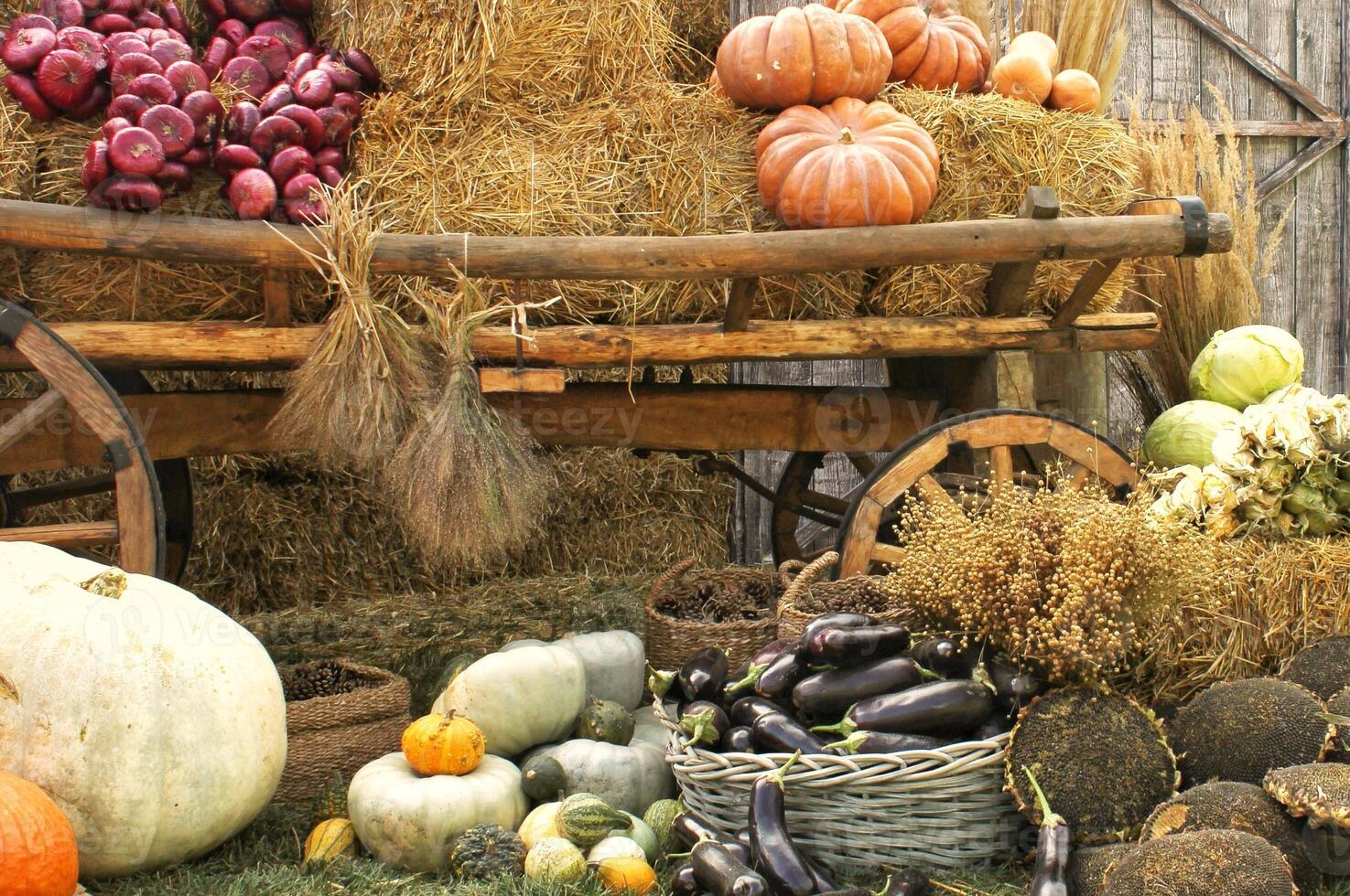 Fresh organic vegetables on farmer market. Local farm bazaar. Assortment of fresh organic harvest garden produce. Bio products, bio ecology. Natural healthy food festival. Agricultural rustic fair photo