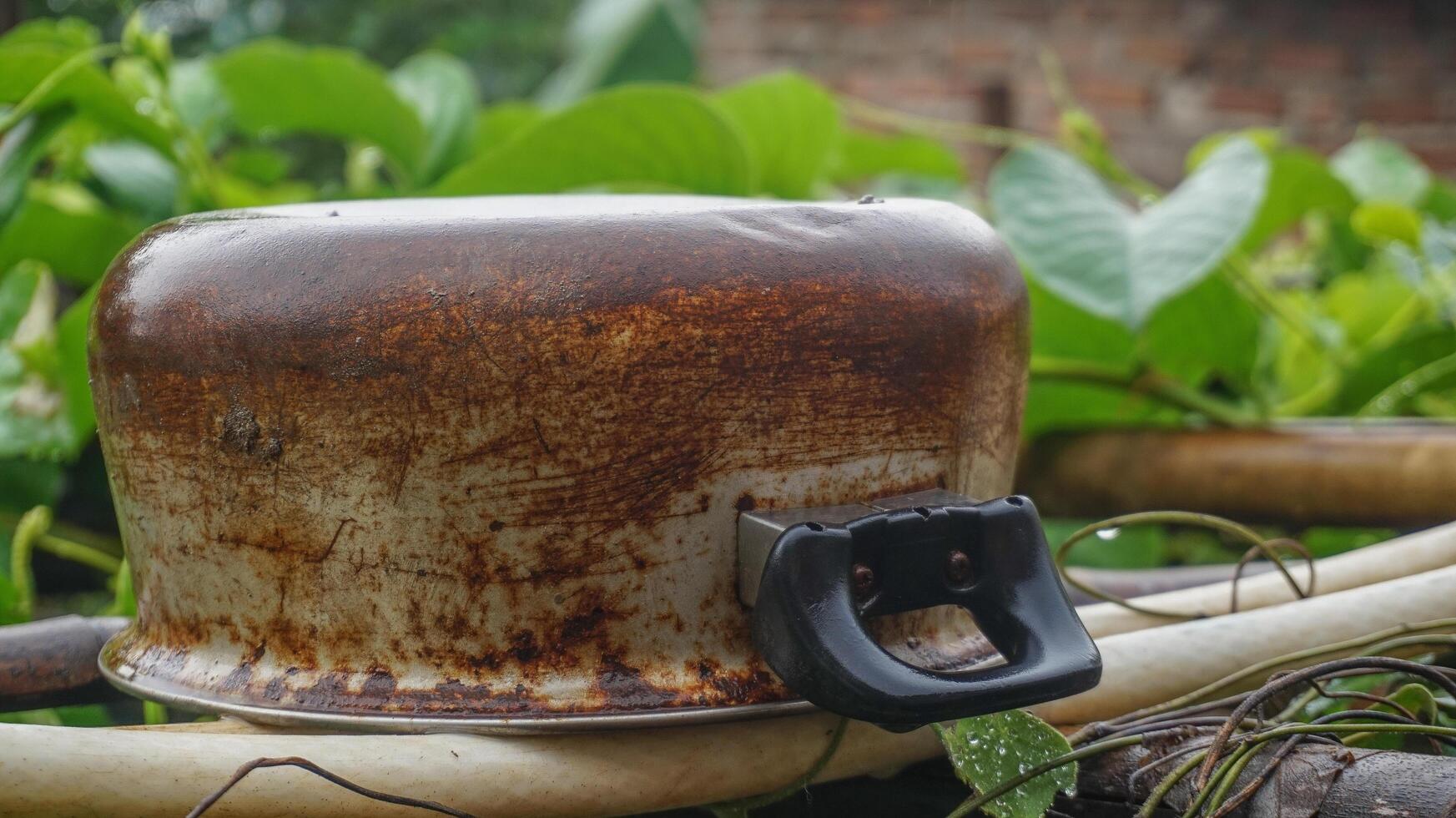 Uniquely, a rusty soup pot sits on a leaf plant photo