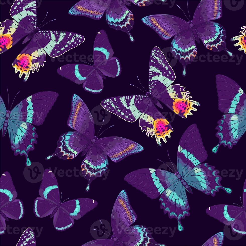 pattern with high detailed tropic butterfly photo