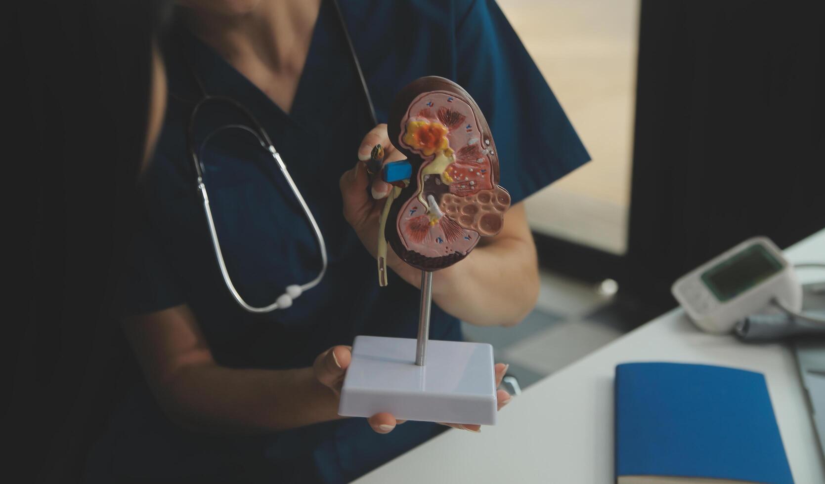 médico demostración interno órganos en 3d humano modelo. mujer con estetoscopio en laboratorio Saco sentado a mesa con ordenador portátil y hablando acerca de personas anatomía. salud cuidado y médico educación concepto. foto