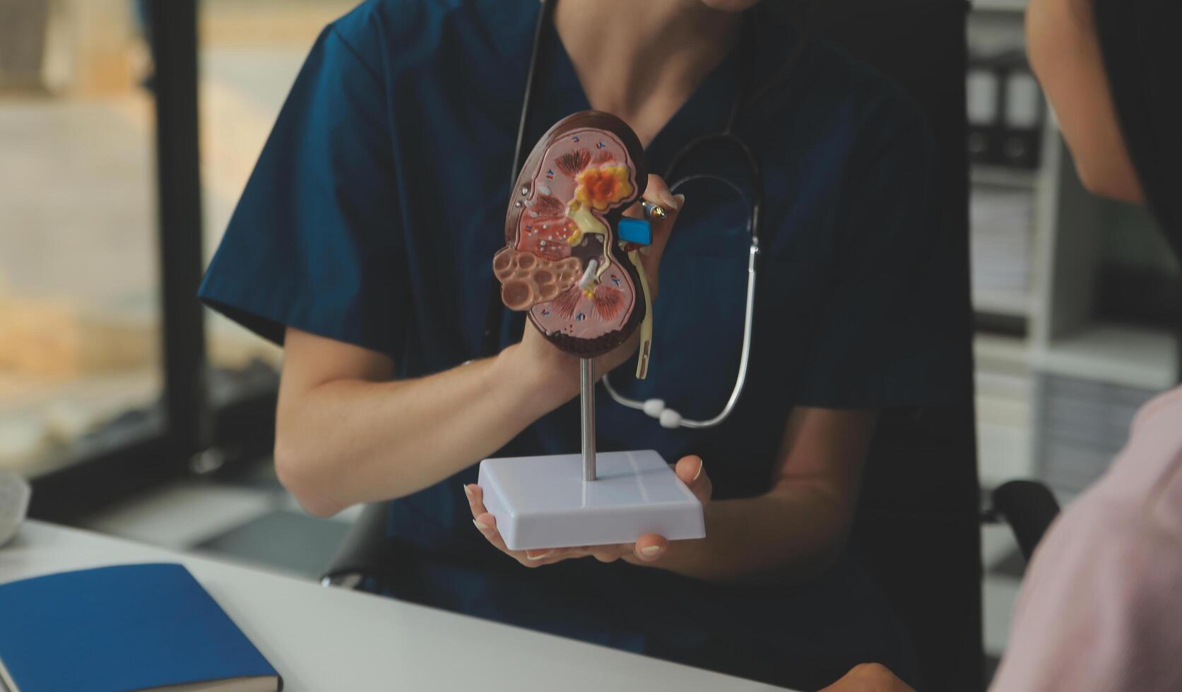 médico demostración interno órganos en 3d humano modelo. mujer con estetoscopio en laboratorio Saco sentado a mesa con ordenador portátil y hablando acerca de personas anatomía. salud cuidado y médico educación concepto. foto