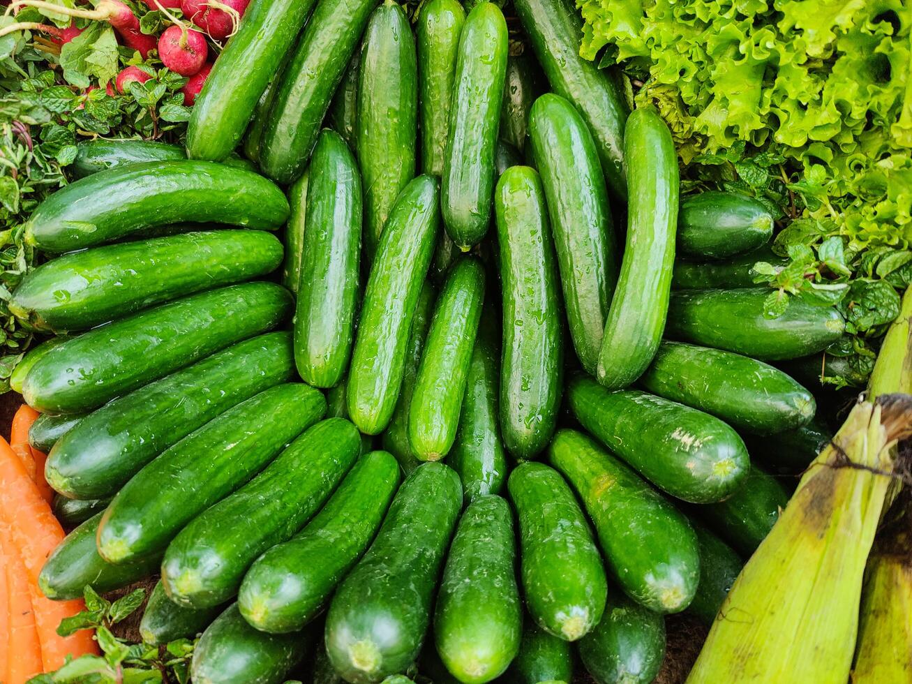 Stall of cucumber on market place. Cucumber stall. Green cucumber. Healthy eating food. photo