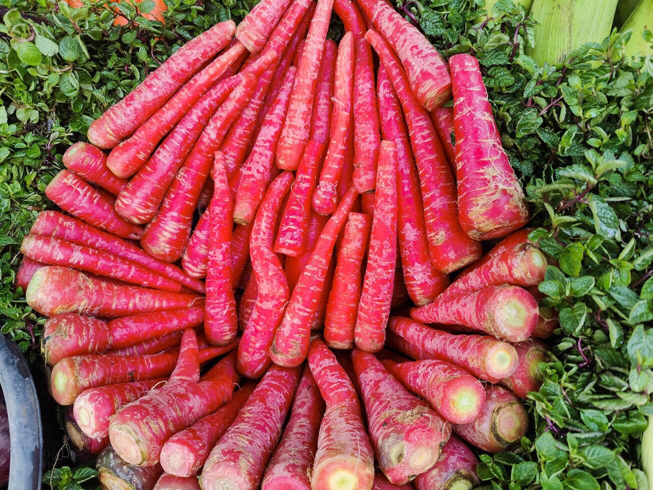 Capture of fresh carrots stall for sale on stall in street food market. Local super market. photo