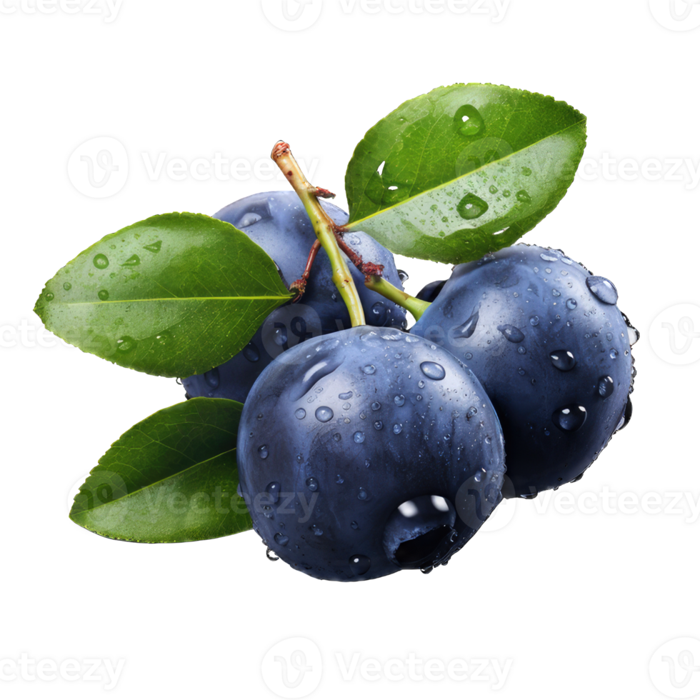 Blueberry with leave on transparent Background png