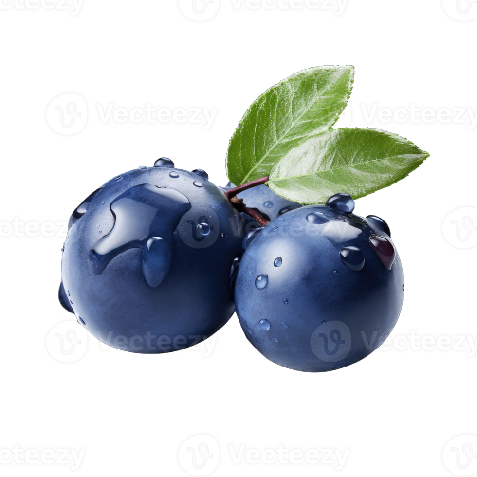 Blueberry with leave on transparent Background png