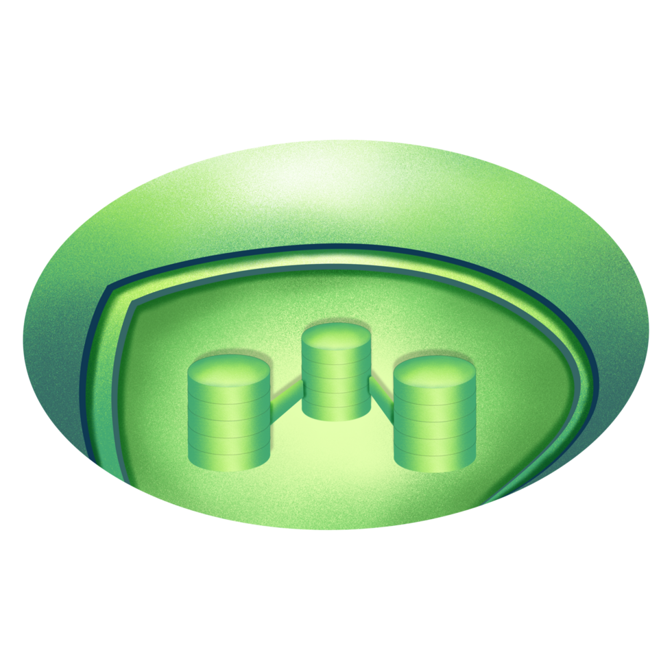 Structure of Chloroplast illustration png