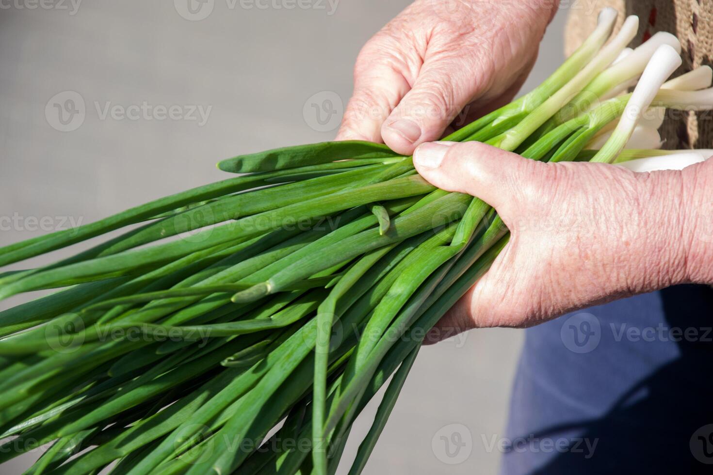 persona participación Fresco Produce de verde cebollas, un natural comida ingrediente foto