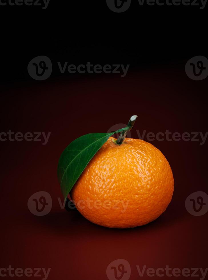 Two ripe juicy tangerines on a dark red background. photo
