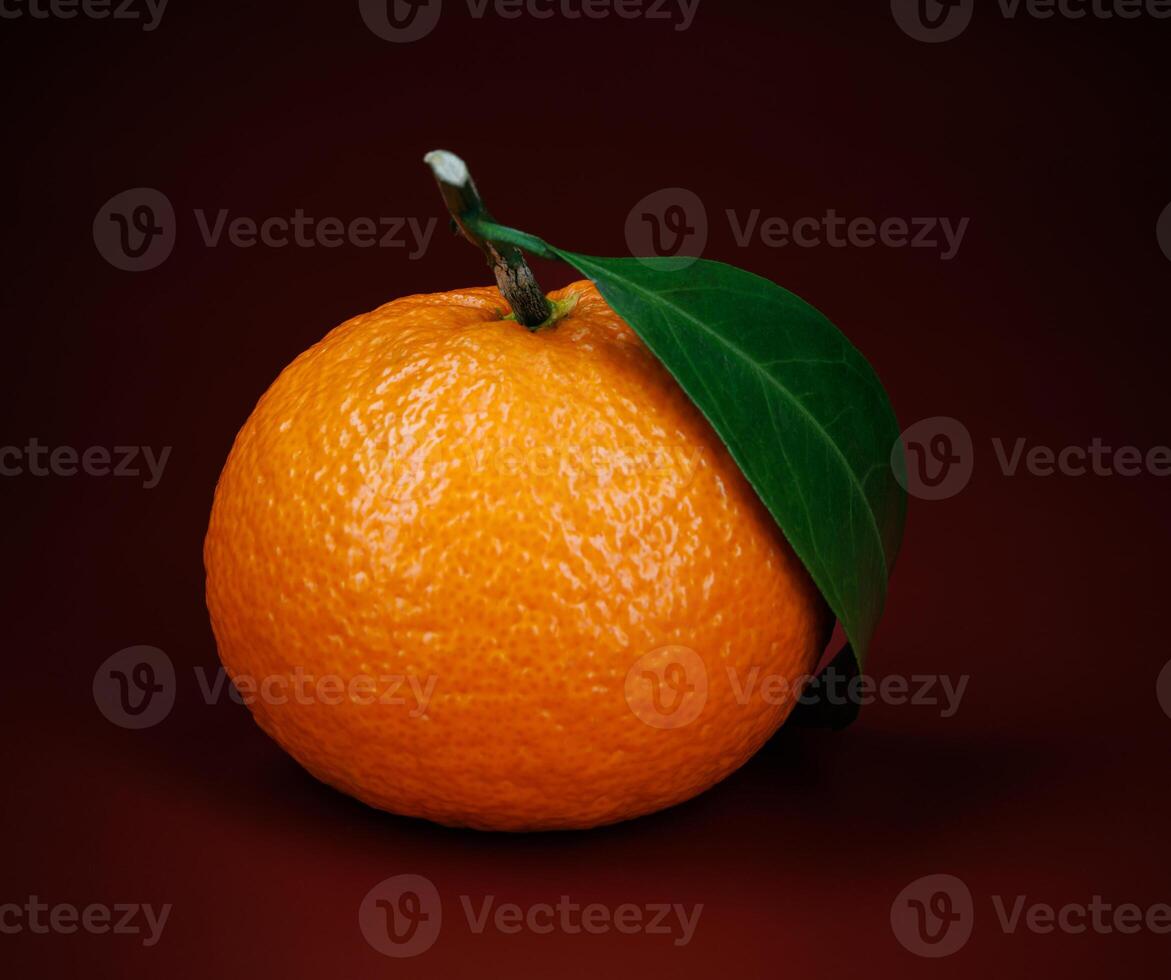 Two ripe juicy tangerines on a dark red background. photo