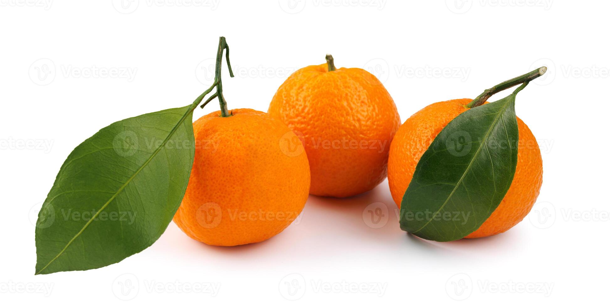 Three tangerines isolated on a white background. Organic tangerine with green leaf. Mandarin. photo