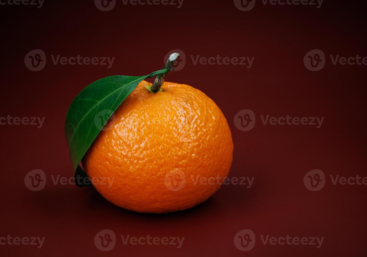 Two ripe juicy tangerines on a dark red background. photo