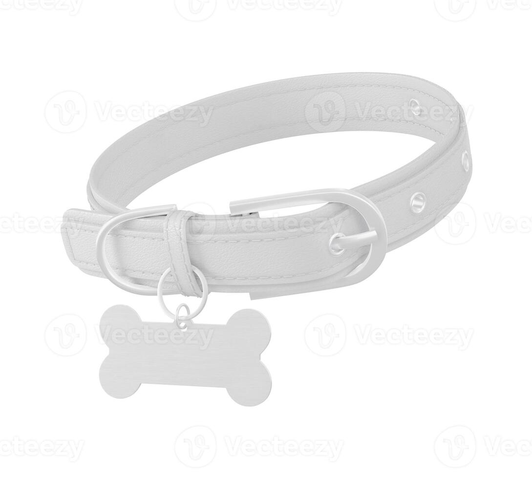 Dog Collar and Tag on white background photo