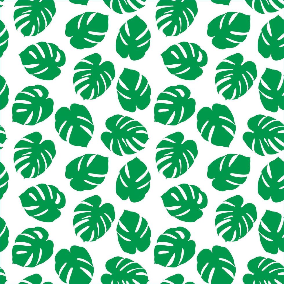 Tropical summer seamless pattern. Monstera palm leaves green silhouette on white background. vector