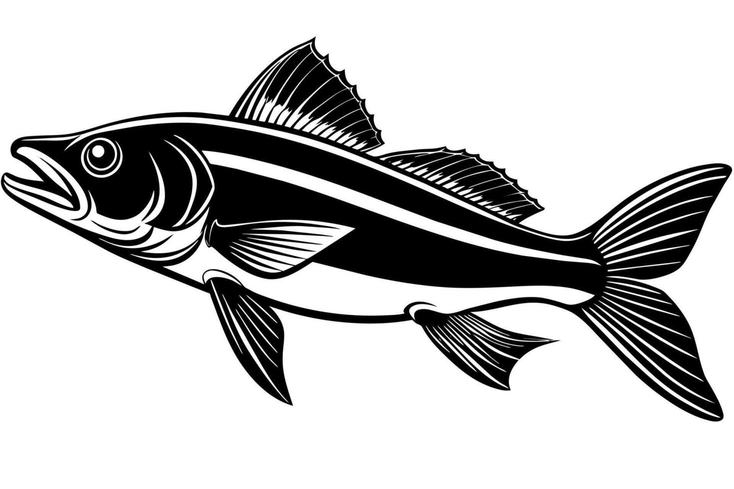 Common snook fish silhouette illustration isolated on a white background vector