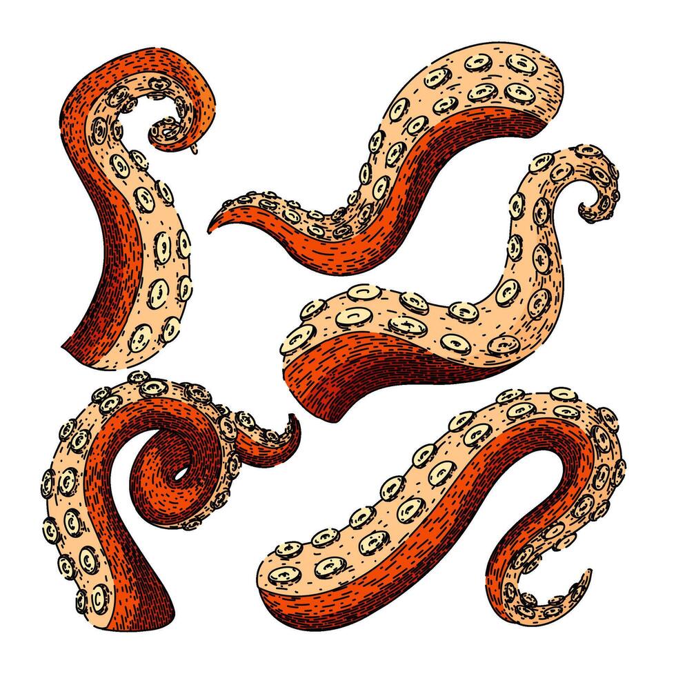 octopus kraken tentacle set sketch hand drawn vector