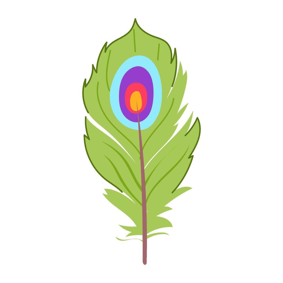 drawing feather exotic bird cartoon illustration vector