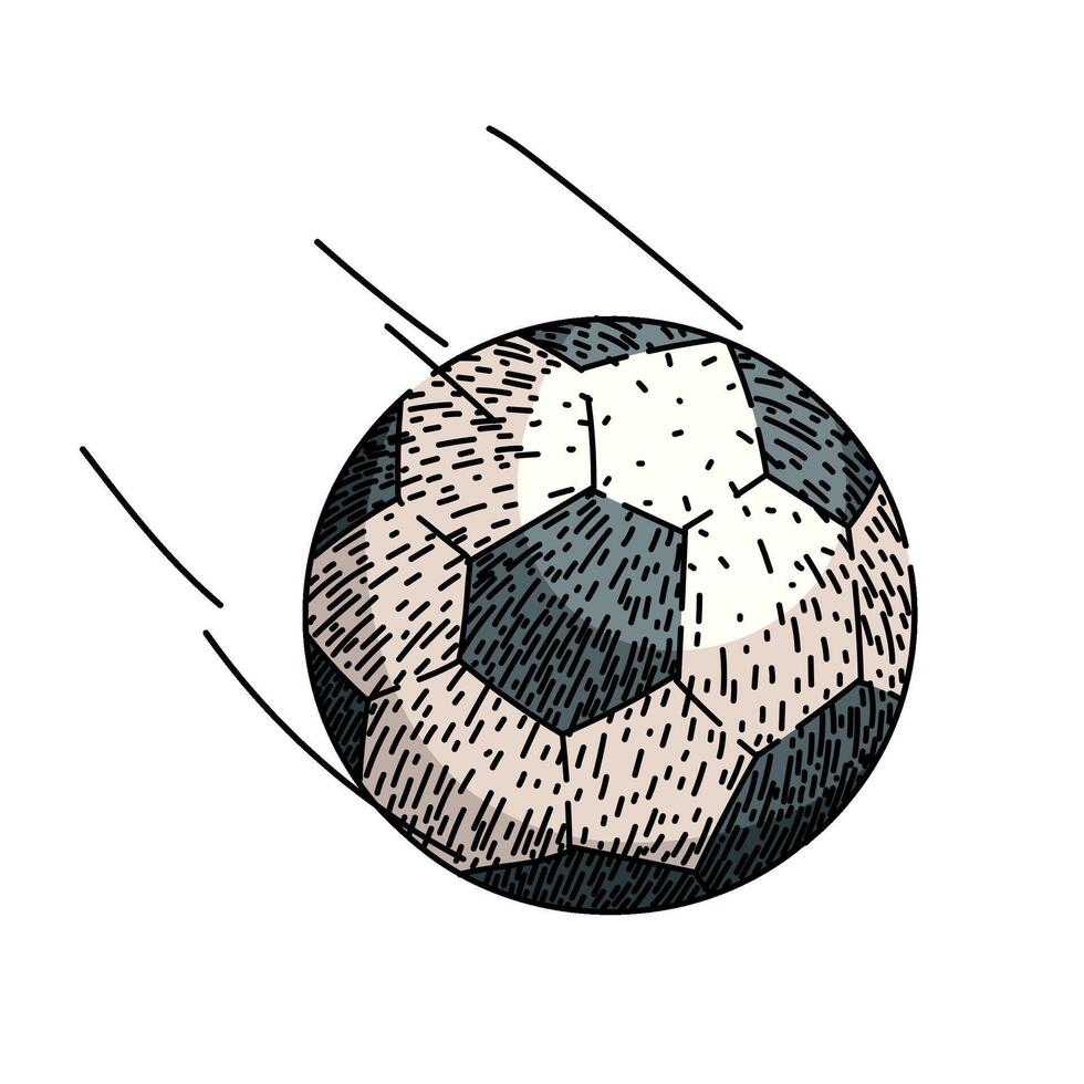 game soccer ball sketch hand drawn vector