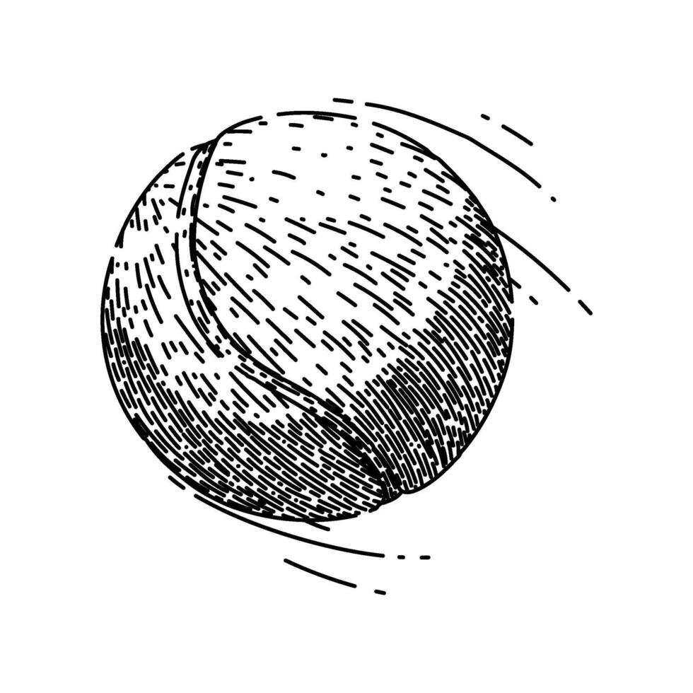 green tennis ball sketch hand drawn vector