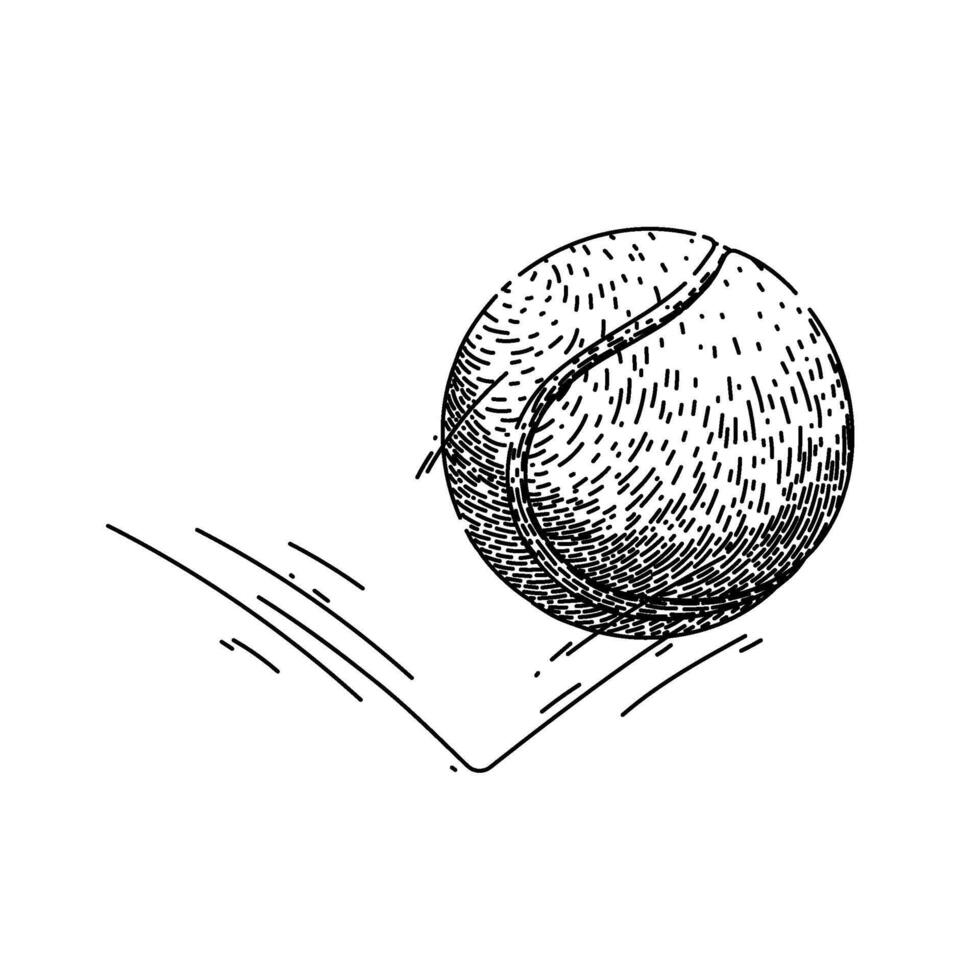 aislado tenis pelota bosquejo mano dibujado vector