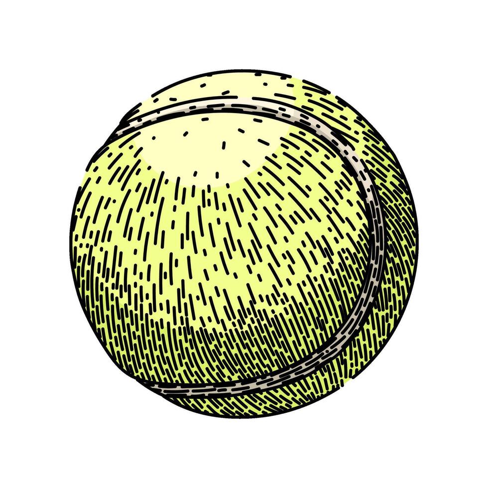 racket tennis ball sketch hand drawn vector