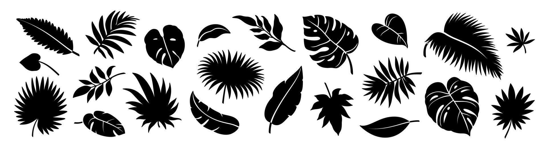 Silhouette jungle leaf. Abstract black palm tropical rainforest leaves. Decorative plants. Graphic foliage silhouettes and elements for design isolated on white background. set vector