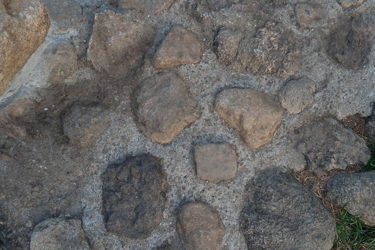 Above view of paving stones in the garden. Close-up of stone for background and textured. photo