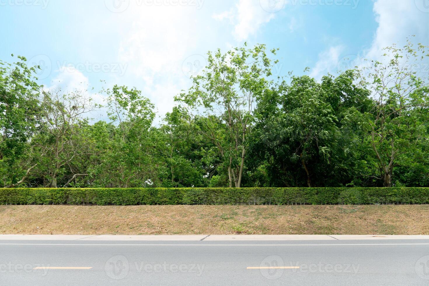 Landscape view of asphalt road and with mound of dirt blocks the road line and is covered with modified grass. Background of trees under blue sky and white clouds. photo