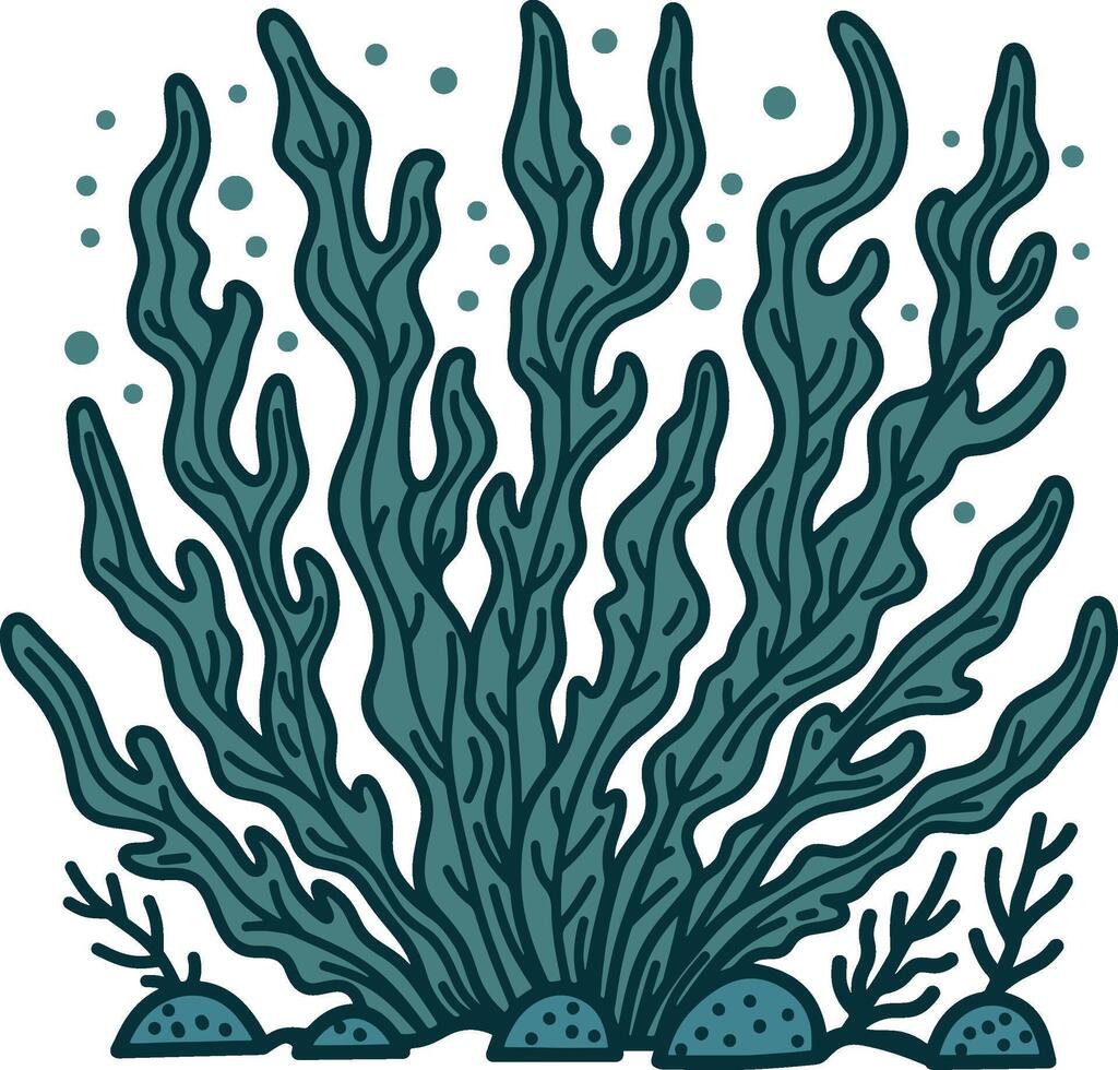 Seaweed graphic illustration vector