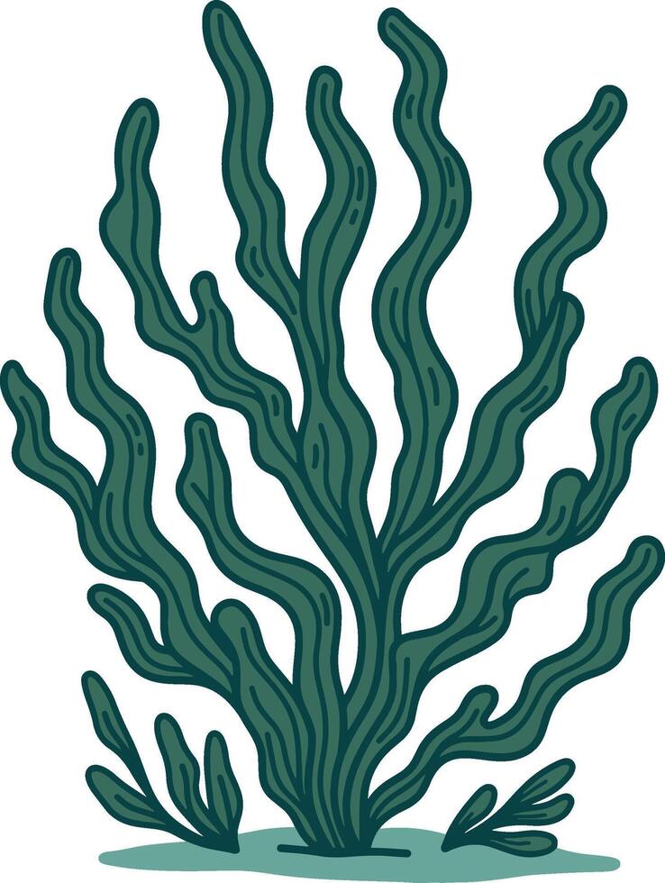 Seaweed graphic illustration vector