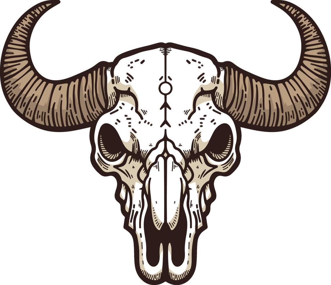 Bison skull illustration vector