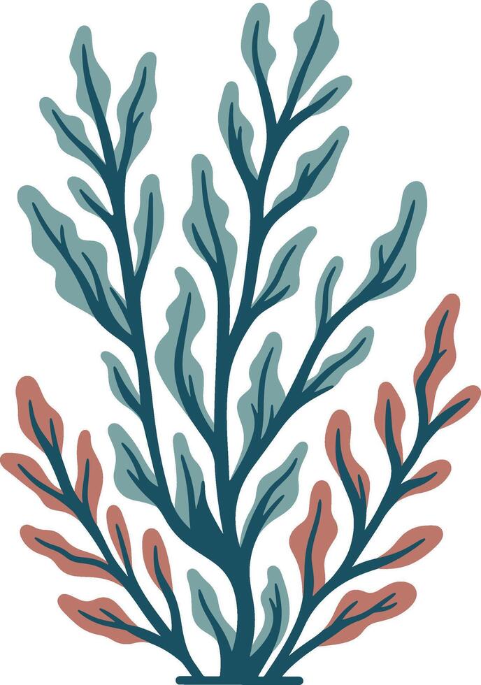 Seaweed graphic illustration vector