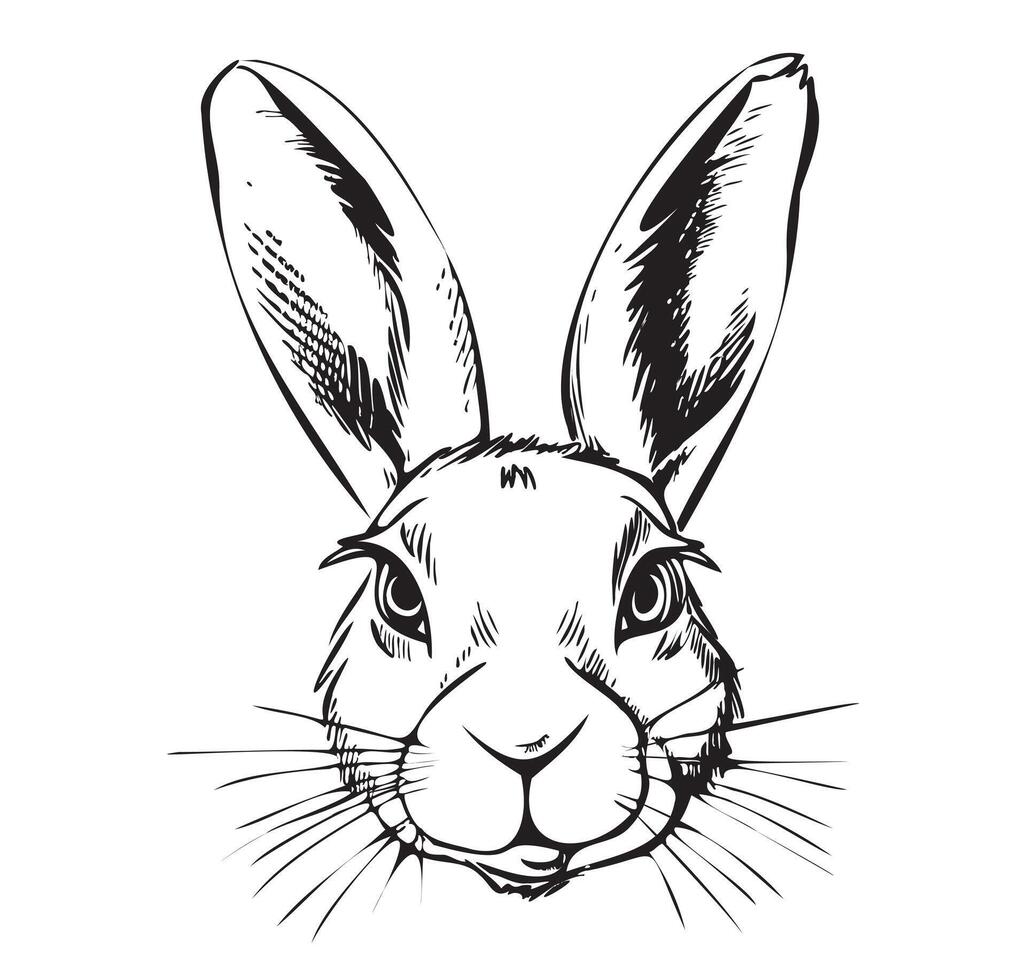 Rabbit face sketch hand drawn in doodle style illustration Cartoon vector