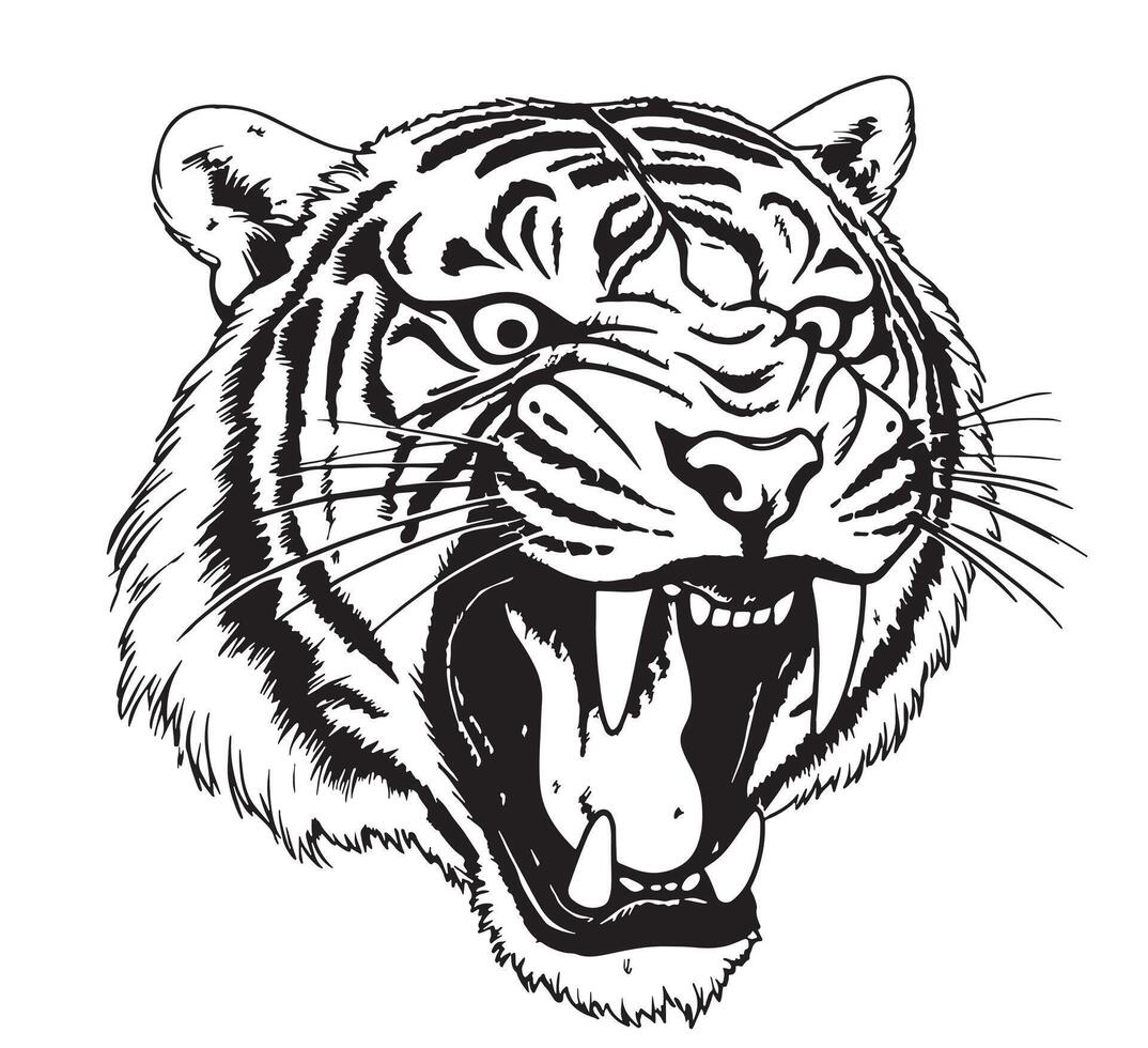 cabeza de gruñendo Tigre mano dibujado bosquejo ilustración vector