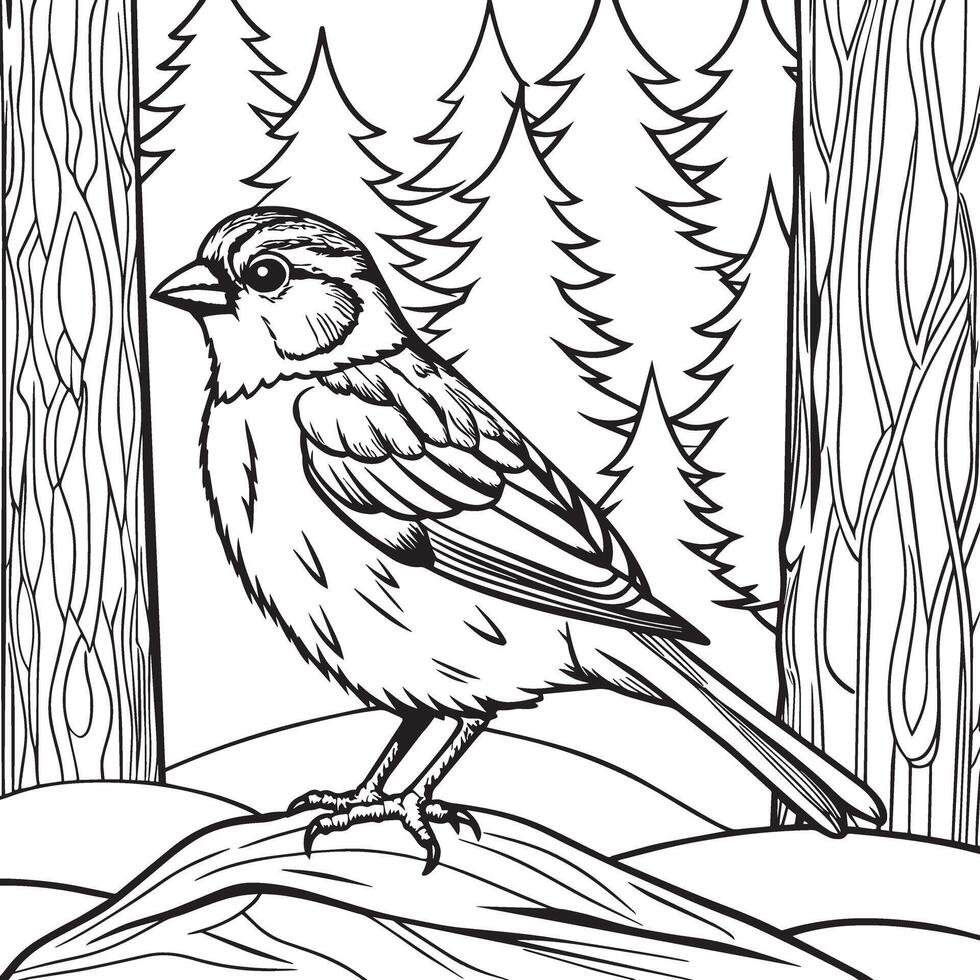 Sparrow bird in the forest. illustration in black and white. vector