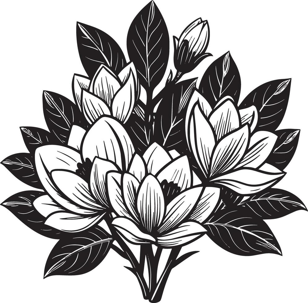 Magnolia flower Bouquet black and white flower vector