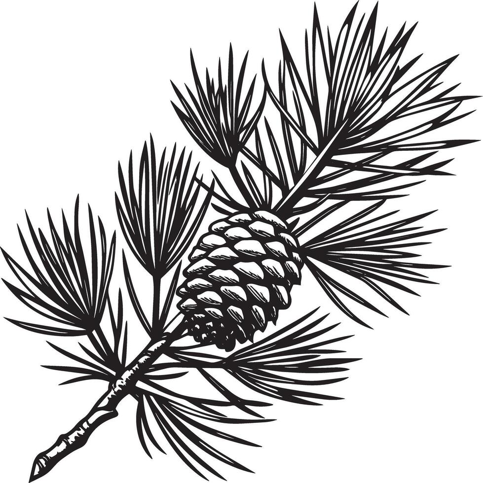 branch of pine tree. on a white background. illustration vector