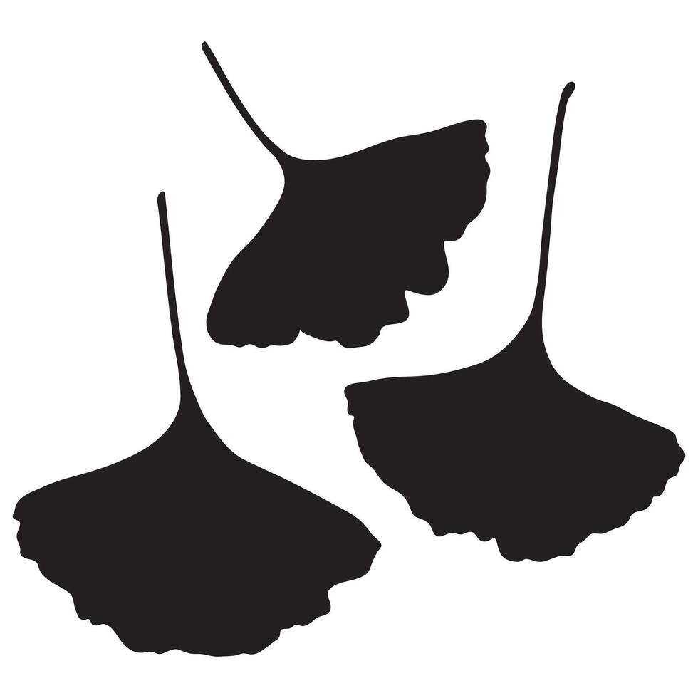 Ginkgo Biloba Tree Leaf Silhouettes vector