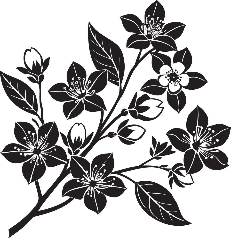 Sakura branch with flowers and leaves. Black and white illustration. vector