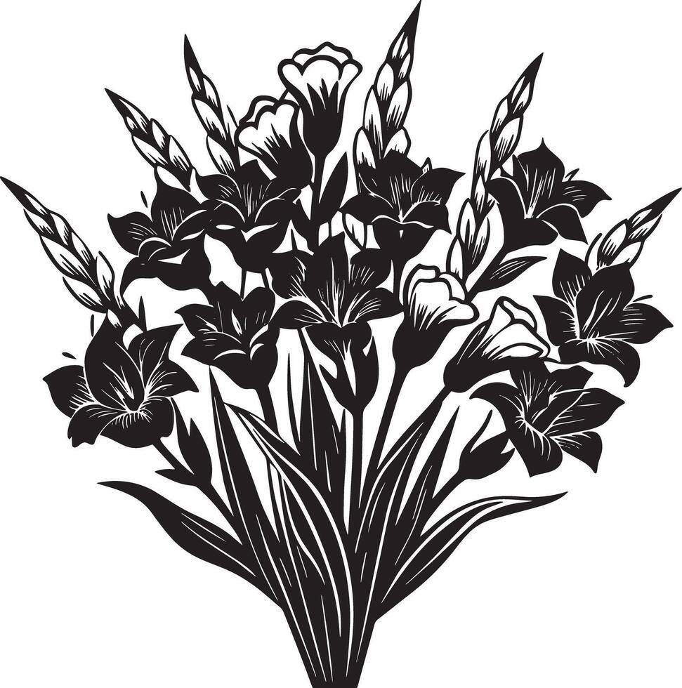 Bouquet of gladiolus flowers. Black and white illustration. vector