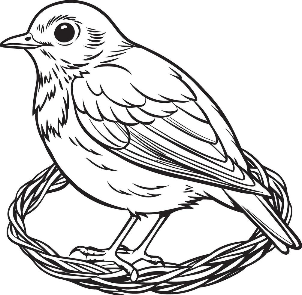 Bird in the nest. Black and white engraving. illustration. vector