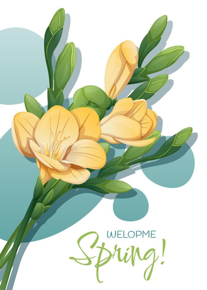 Greeting card template with spring flowers. Banner, poster with daffodils. Easter illustration of delicate flowers in cartoon style for card, invitation, background, etc. vector