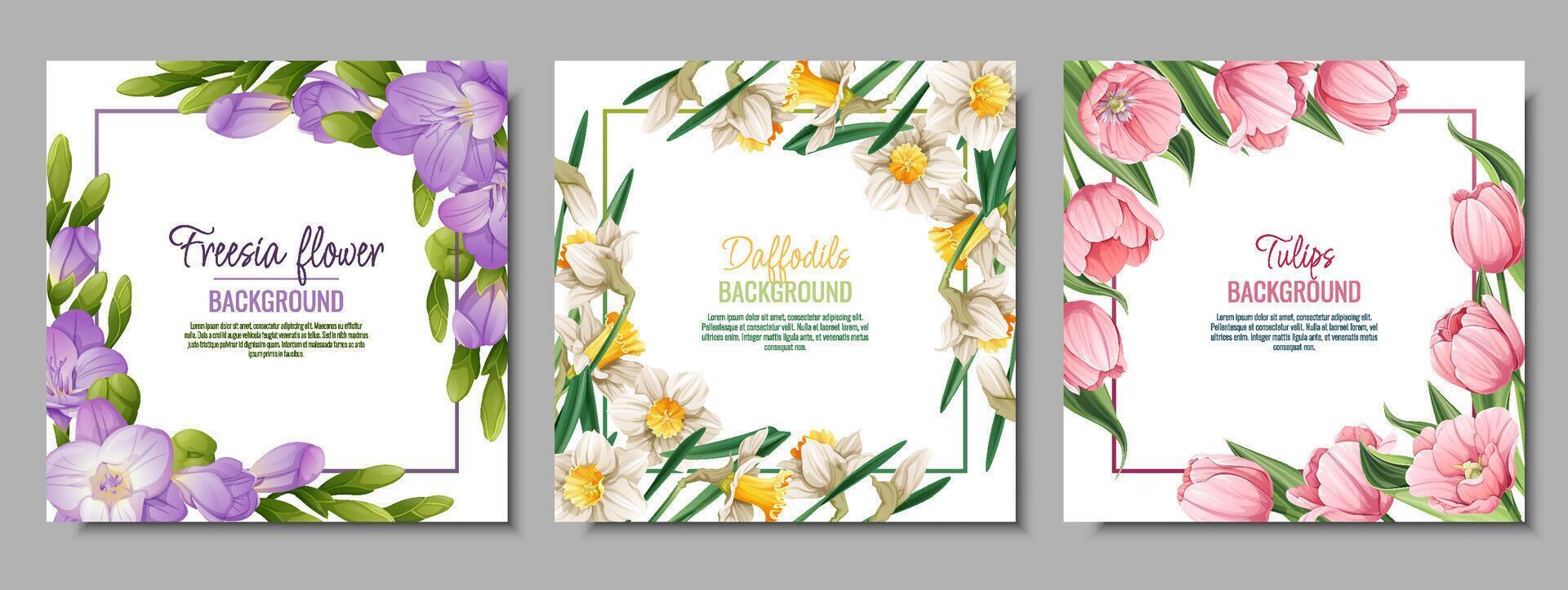 conjunto de bandera plantillas con primavera flores tarjeta postal, póster con tulipanes, narcisos, fresia ilustración de delicado flores en dibujos animados estilo para tarjeta, invitación, fondo, etc. vector