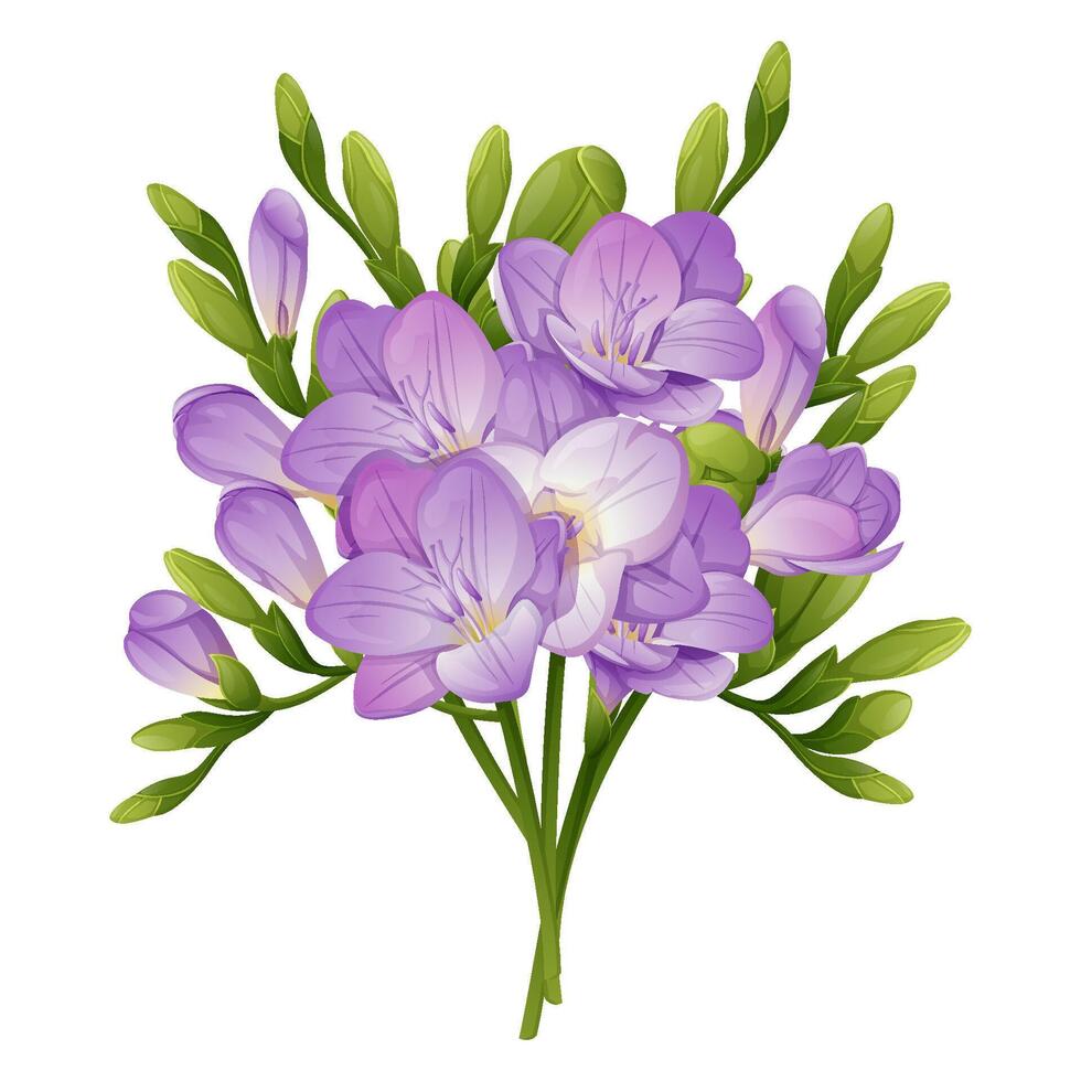Set of freesia on isolated background. A bouquet of spring flowers for the decoration of cards, banners, posters, invitations, etc. vector